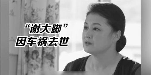 娱乐圈的吃瓜影帝笔趣阁小说